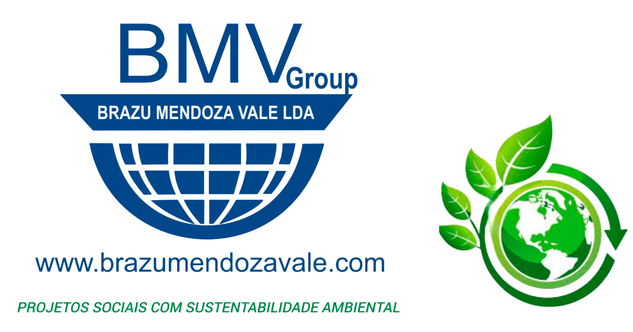 responsabilidade social brazu
